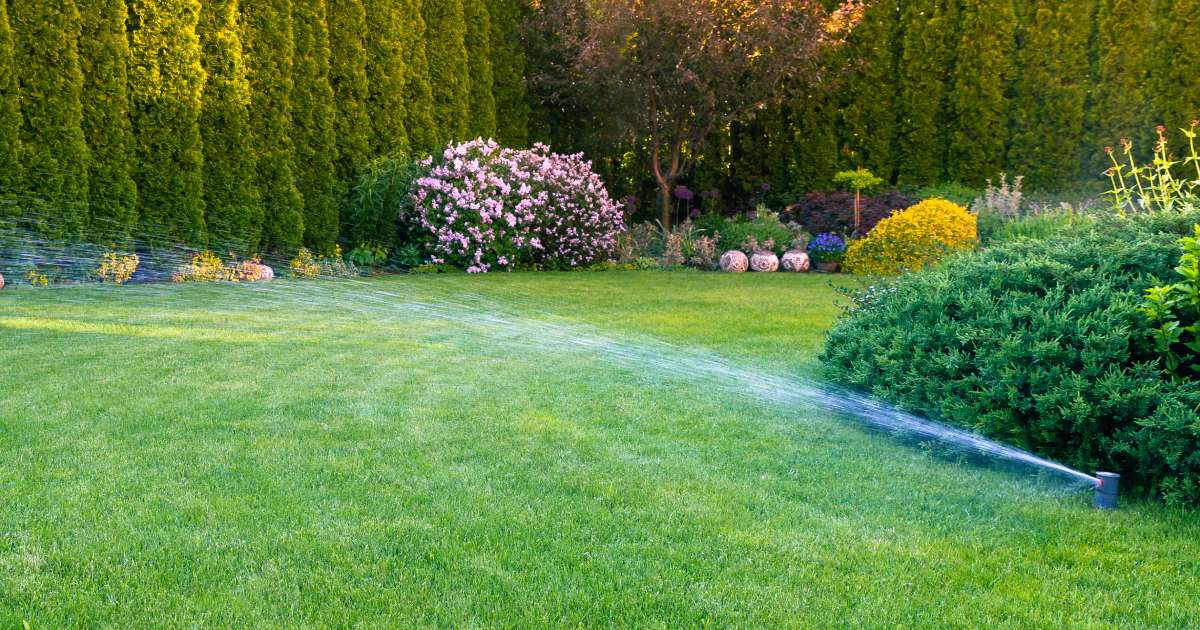25-Leading-Lawn-Irrigation-Websites-for-2020-1.jpg