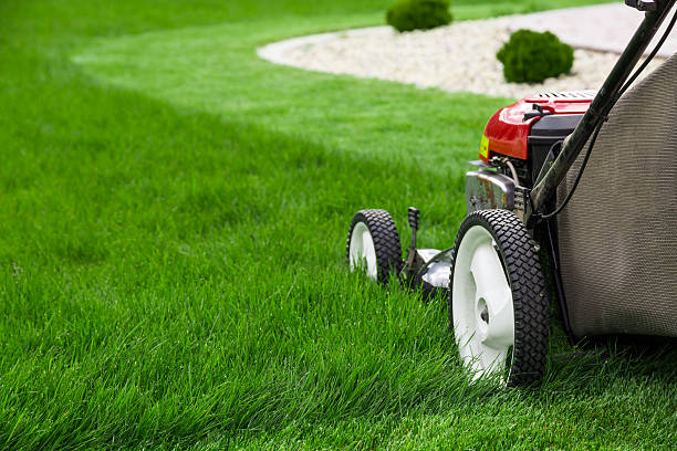 istockphoto-475958716-612x612-1.jpg